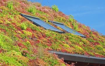 Monk Soham living roof systems