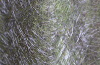 Monk Soham fibreglass roof work